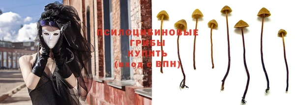 тгк Бугульма