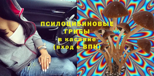 mdma Бородино