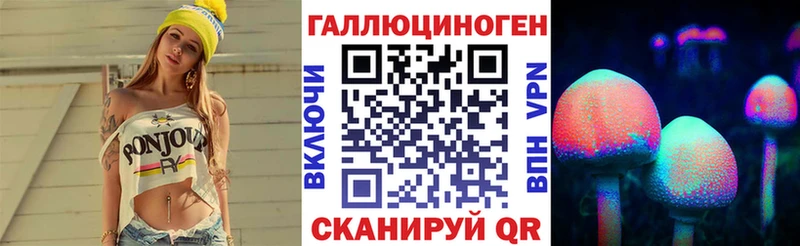Псилоцибиновые грибы Psilocybe Можайск