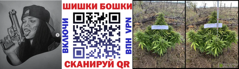 Канабис Ganja  закладки  Можайск 